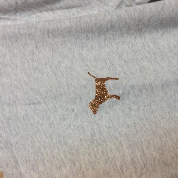 π₯VS Pink shine campus tee sz L NWT - Picture 7 of 10